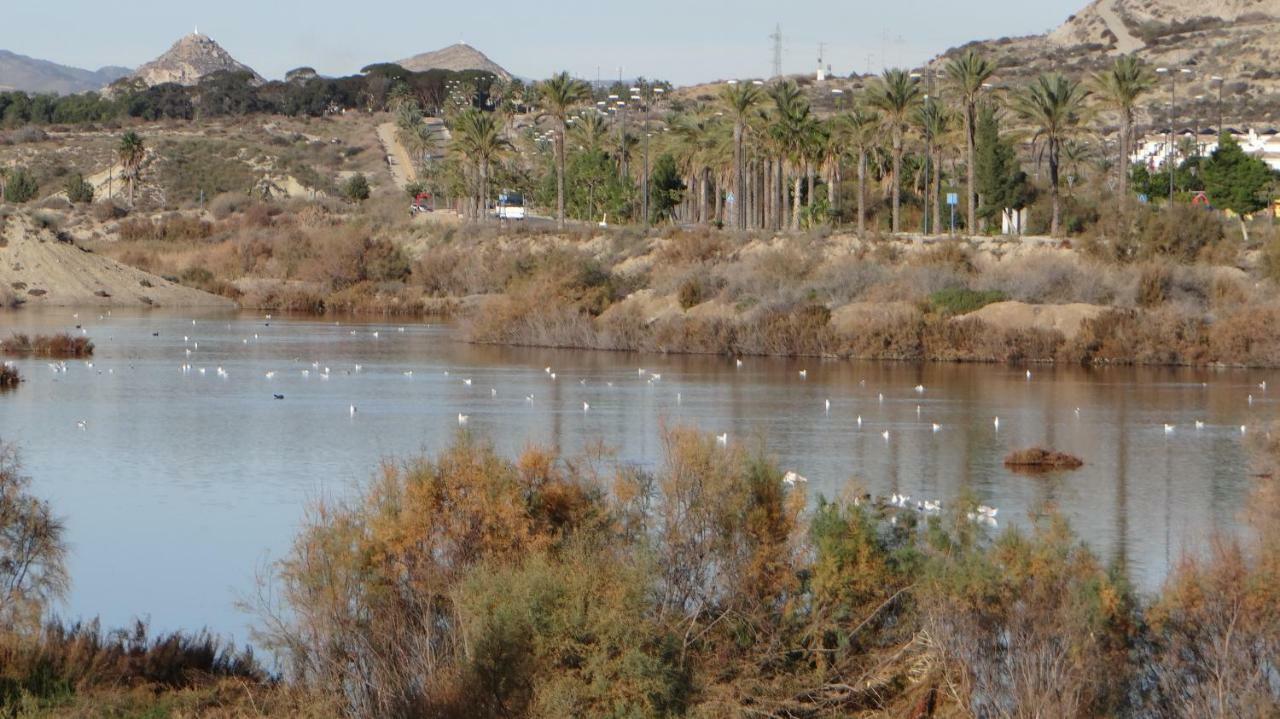 Vera Rental Torremar Natura מראה חיצוני תמונה